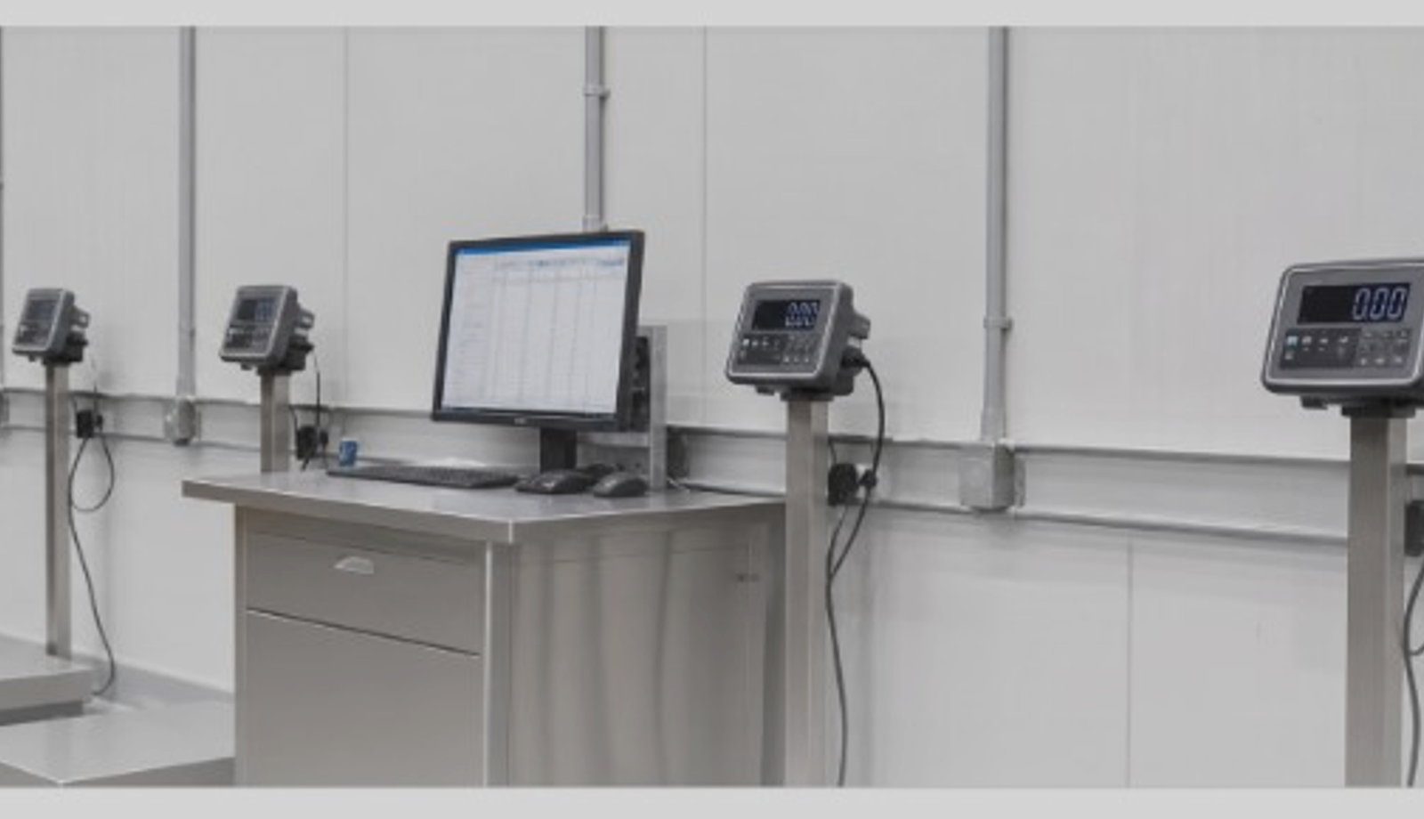 Linjë multi-scale + workstation — sortim / pranim